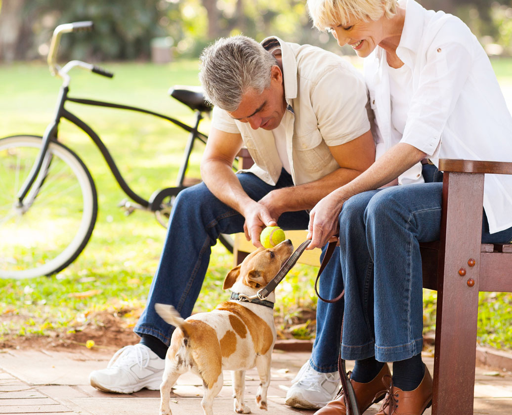 Old Couple Playing With Their Pet